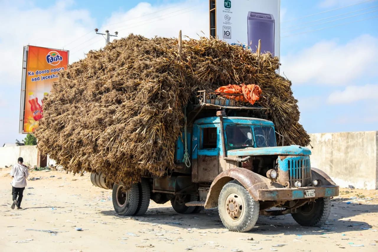 Logistics