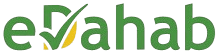 eDahab logo